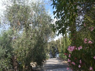 Vakantiehuis Castagneto Carducci Buitenaudio-opname 9