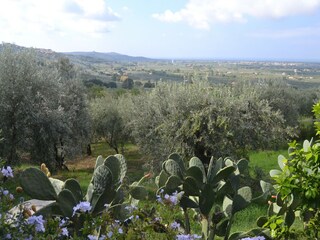 Casa per le vacanze Castagneto Carducci Registrazione all'aperto 8
