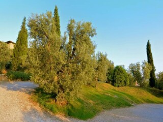Casa de vacaciones Castagneto Carducci Entorno 32