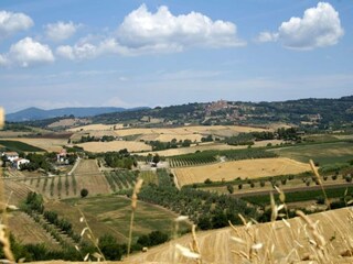 Vakantiehuis Castagneto Carducci Omgeving 35