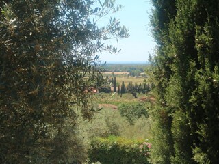 Casa per le vacanze Castagneto Carducci Registrazione all'aperto 16