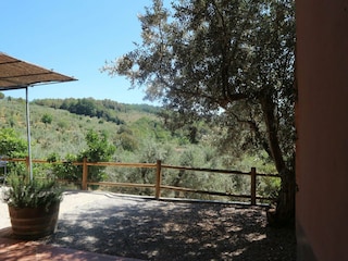 Holiday house Castagneto Carducci Outdoor Recording 1