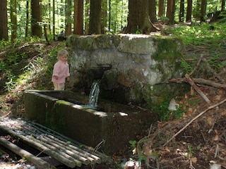 Casa per le vacanze Haidmühle Ambiente 22