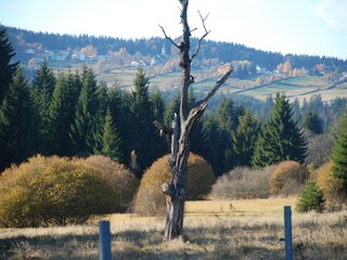 Casa per le vacanze Haidmühle Ambiente 16