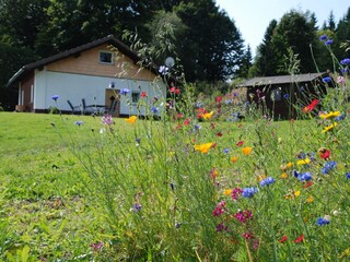 Maison de vacances Haidmühle Enregistrement extérieur 4
