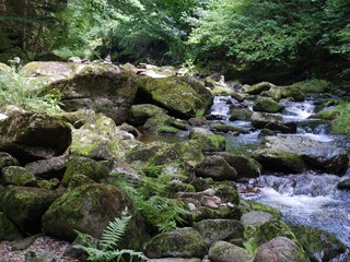 Casa per le vacanze Haidmühle Ambiente 14