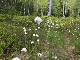 Casa per le vacanze Haidmühle Ambiente 18