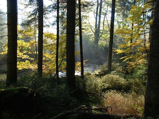 Casa per le vacanze Haidmühle Ambiente 15