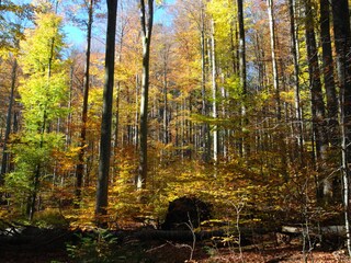 Casa per le vacanze Haidmühle Ambiente 20