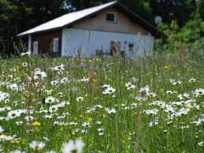 Ferienhaus Säumerhäusl - Haidmühle - image1