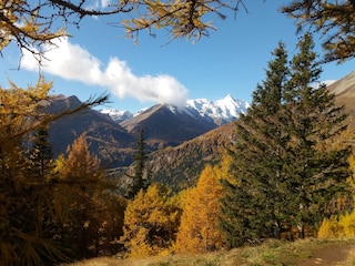 Landschaft im Herbst