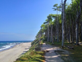 Appartamento per vacanze Nienhagen Ambiente 16