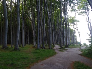 Appartamento per vacanze Nienhagen Ambiente 17