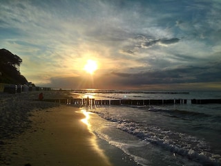 Appartamento per vacanze Nienhagen Ambiente 18