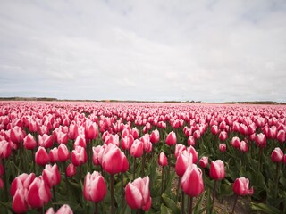 Casa per le vacanze Sint Maartenszee Ambiente 25