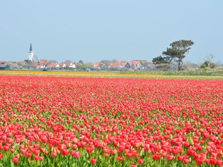 Appartamento per vacanze Den Burg Ambiente 15