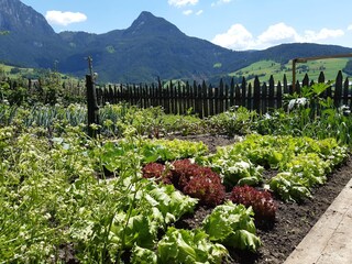 Appartamento per vacanze Völs am Schlern Ambiente 37