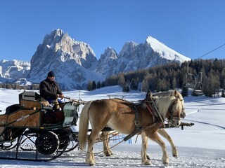 Appartamento per vacanze Völs am Schlern Caratteristiche 33