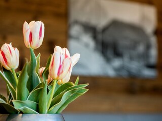 Ferienwohnung Völs am Schlern Dokument 41