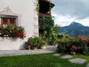 Ferienwohnung Braunhof