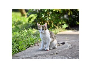 Appartamento per vacanze Völs am Schlern Registrazione all'aperto 20