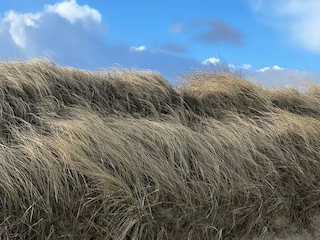 Düne in Cuxhaven