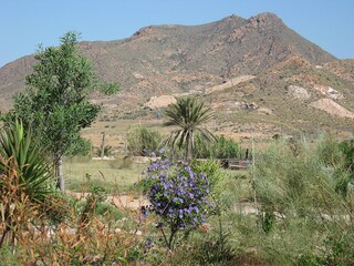 Parc de maisons de vacances Rodalquilar Environnement 12