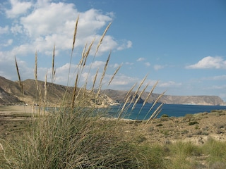 Parc de maisons de vacances Rodalquilar Environnement 16