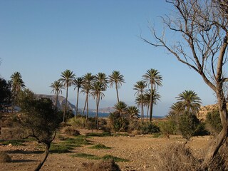 Parc de maisons de vacances Rodalquilar Environnement 17