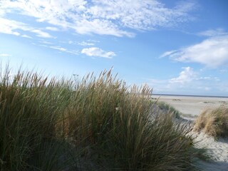 Apartamento de vacaciones Borkum Entorno 13