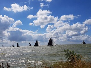 Vakantiehuis Stavoren Omgeving 27