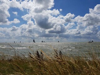 Vakantiehuis Stavoren Omgeving 26