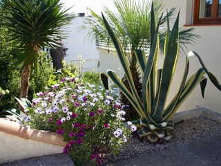 Villa Adsubia Enregistrement extérieur 16