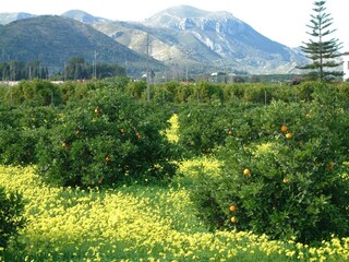 Villa Adsubia Environnement 36