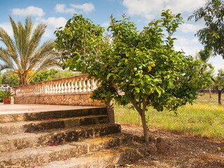 Chalet Santa Margalida Registrazione all'aperto 16