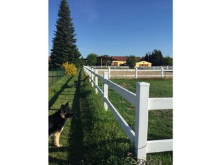 Holiday cottage Osterburg (Altmark) Outdoor Recording 12