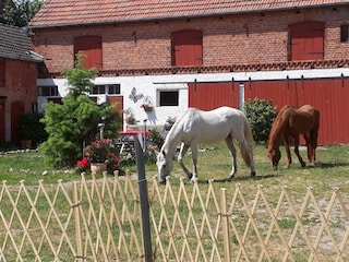 Holiday cottage Osterburg (Altmark) Outdoor Recording 13
