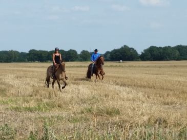 Holiday cottage cottage Four-Side-Ranch