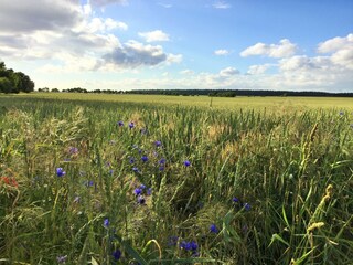 Holiday cottage Osterburg (Altmark) Outdoor Recording 7