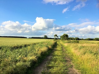 Holiday cottage Osterburg (Altmark) Outdoor Recording 8