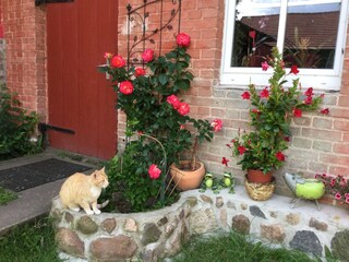 Holiday cottage Osterburg (Altmark) Outdoor Recording 9