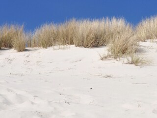 Appartamento per vacanze Callantsoog Ambiente 14