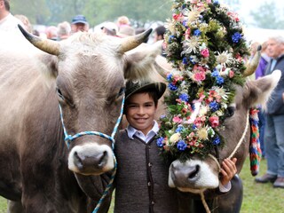 Appartamento per vacanze Füssen Ambiente 31