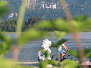 Radeln am Forggensee mit Schloss- und Alpenblick