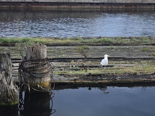 Nord-Ostsee-Kanal