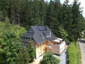 Ferienwohnung Haus in der Natur - Feldbergblick - Lenzkirch - image1