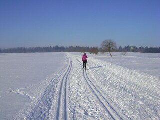 Appartamento per vacanze Ehrenberg Ambiente 21