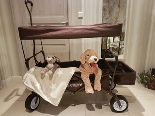 Casa per le vacanze Greetsiel Caratteristiche 12