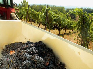 Maison de vacances Terranuova Bracciolini Environnement 26