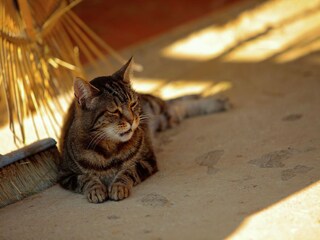 Ferienhaus Terranuova Bracciolini  33